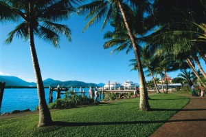 the-esplanade-cairns-2349